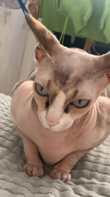 18 апреля 2023 г. смотреть онлайн