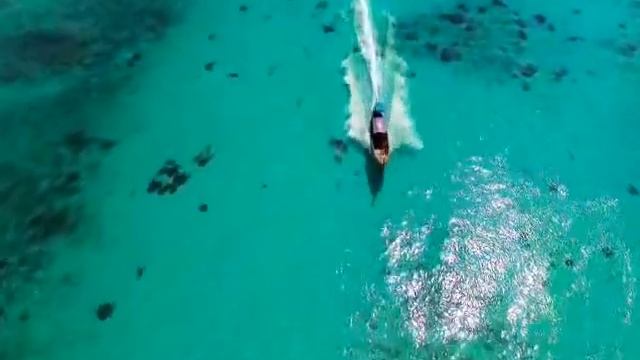 Рассвет мертвецов смотреть онлайн