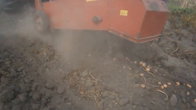 Копаем картошку. Трактор ЮМЗ и польская картофелекопалка. Digging Potatoes. #vseklevo #синийтрактор