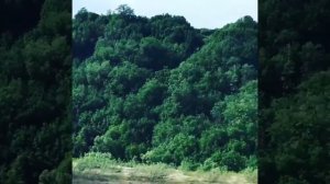 Природа , красота 👌Ненецкий Автономный Округ😊