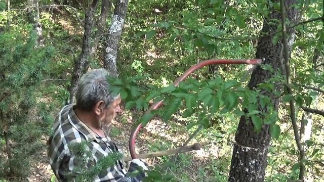 инструкция по вырубке деревьев в лесу