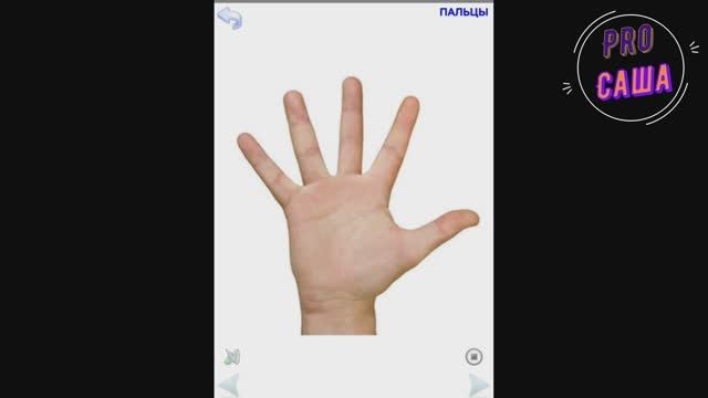 Развитие детей. Мультики. Игры. ИЗУЧАЕМ ЧАСТИ ТЕЛА. Дети. Обучающие игры. Учиться весело! смотреть онлайн