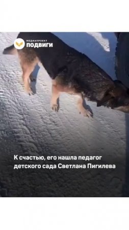 В Татарстане пёс спас хозяйку из пожара