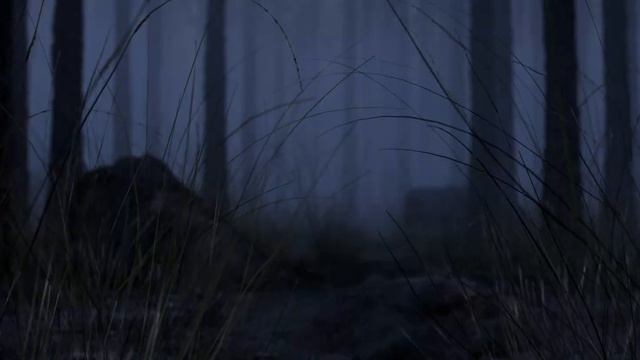 BORIS REDWALL, LOVV66 - ESLI NE TI смотреть онлайн