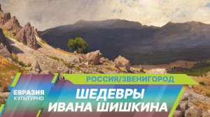 Уникальная выставка «Иван Шишкин. Мастер эпического пейзажа» открылась в подмосковном Звенигороде