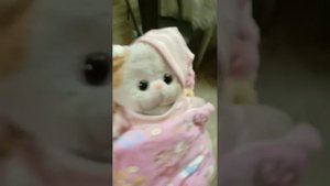 Уход за Лилишкой❤ Переноска не моя 😅#басики #лили