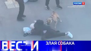 Вести Санкт-Петербург. Выпуск 21.10 от 16.04.2025