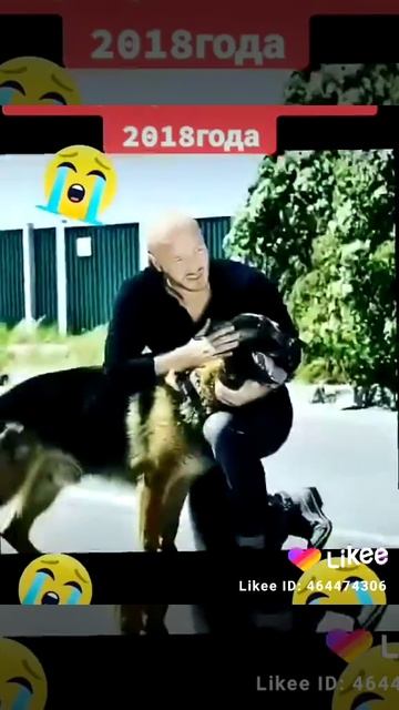 Жизнь плохая штука. Цените своих блиских. Главное любите💔💔💔💔💔 смотреть онлайн