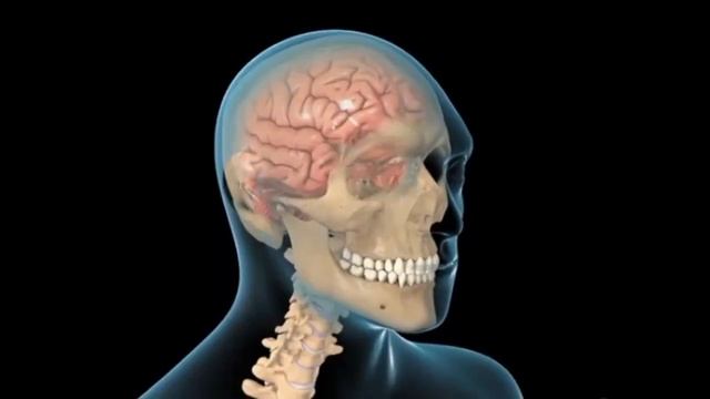 टाउकामा लागेको सानो चोटले पनि ज्यान लिन सक्छ। Nepali Health Tips For Head
