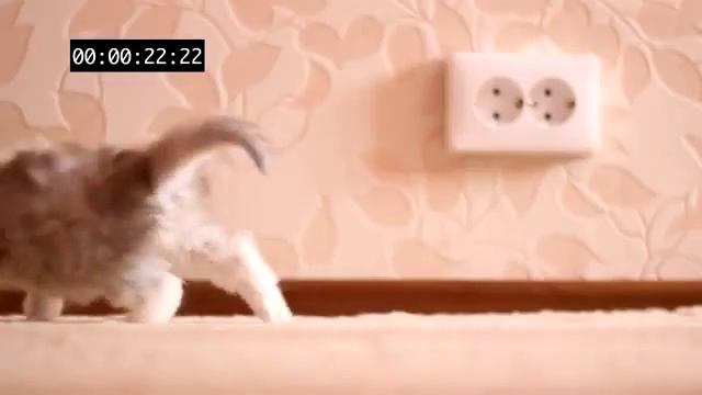 Краштест Приколы смотреть онлайн