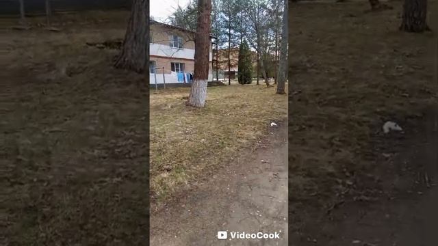 Санаторий Руза МВД гуляем по территории