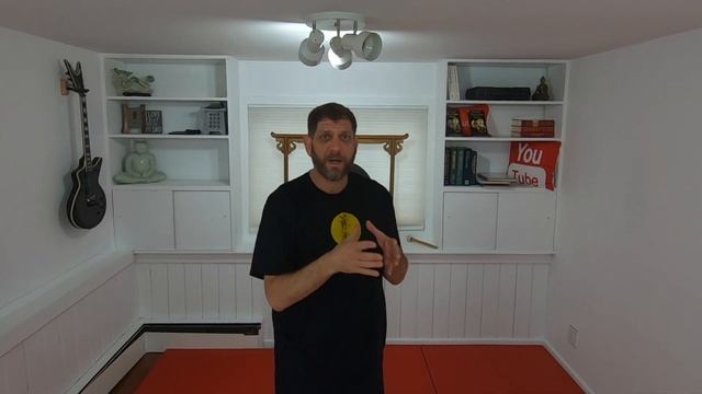 Tan Sao - Wing Chun Kung Fu - Hand Position смотреть онлайн