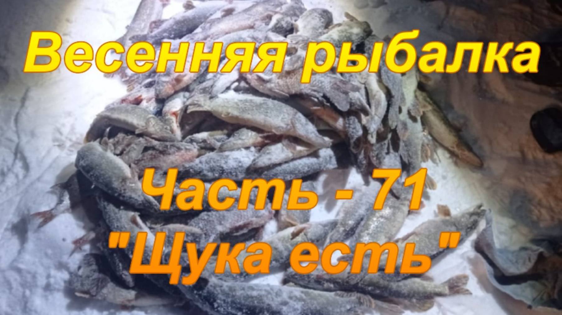 Весенняя рыбалка. Часть - 71. "Щука есть".