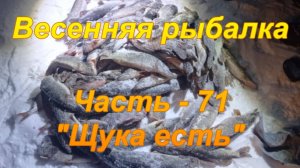 Весенняя рыбалка. Часть - 71. "Щука есть".