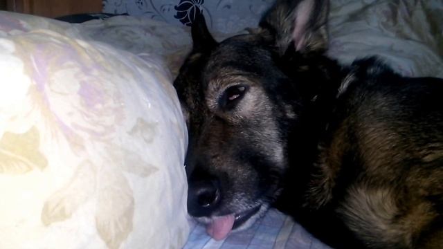 Мафия смотреть онлайн