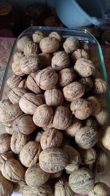 Как выращивать грецкие орехи? смотреть онлайн