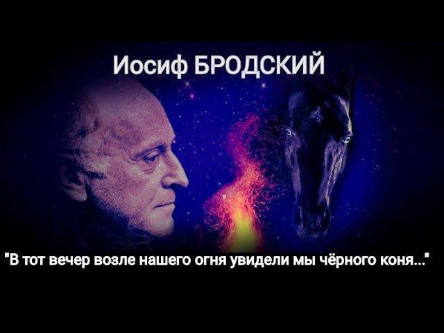 Иосиф Бродский "В тот вечер возле нашего огня увидели мы чёрного коня..." Читает Павел Морозов смотреть онлайн