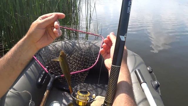 Краснопірка