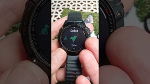 Garmin alpha 50,100, 200 и ошейники, видеть через часы garmin fenix 6.Garmin fenix 6 на охоте.