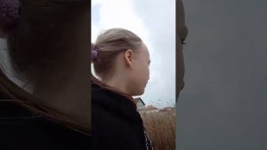 прогулка на даче
