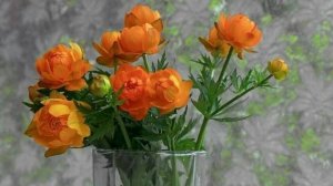 БЛИЗНЕЦЫ. ✨✨✨ Ваш таро-прогноз на май 2025 года.🌺🌺🌺