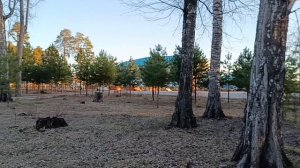 Вечер в парке.