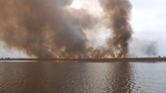 18 04 24 г Горит камыш Берёзовский залив смотреть онлайн