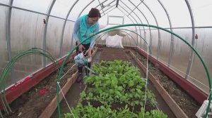 В архив  6 соток в начале мая 2021 года