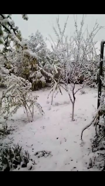 Красиво Как не назови... Астероид пролетел 19-20 апреля. смотреть онлайн