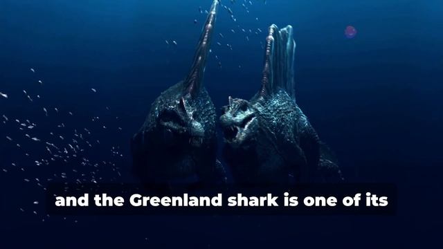Titanic Disaster Survival: Sharks Lurking in Depths смотреть онлайн