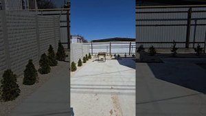 1000094300.mp4