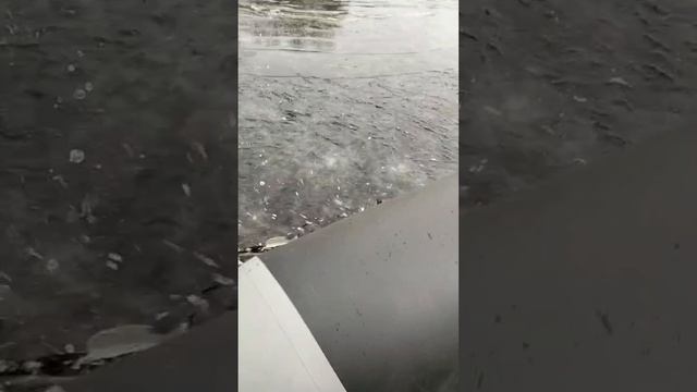 АэроЛодка