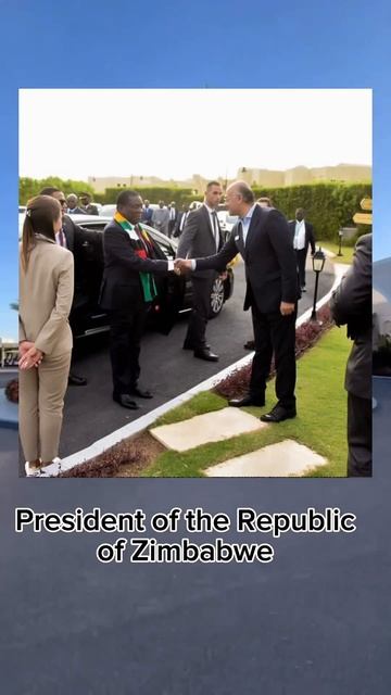 #svetlikkkk#тур#наморе#турция#египет#оаэ#горящийтур#rixos#отель#турагенство#мальдивы#тайланд#отдых смотреть онлайн