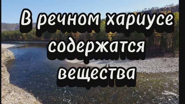 Хариус  при приготовлении женских рук не терпит)))
Вкусный ужин за 40 минут из хариуса