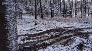 ЮМЗ-6 4×4 Заготовляємо дрова на зиму🚜