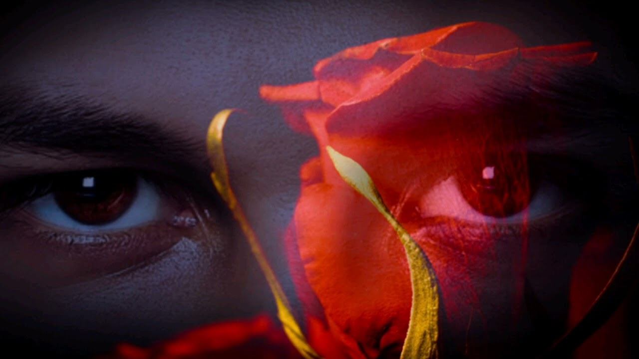 Афанасий Фет "Осенняя роза" ("Осыпал лес свои вершины...") Читает Павел Морозов смотреть онлайн