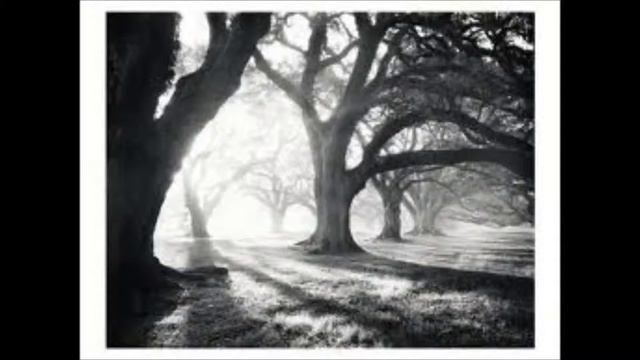 "Penumbra" by Dante Gabriel Rossetti, recited by The Wordman смотреть онлайн