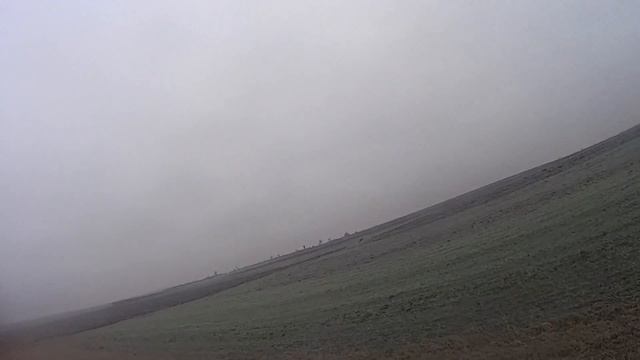 Охота на зайця 2020ю