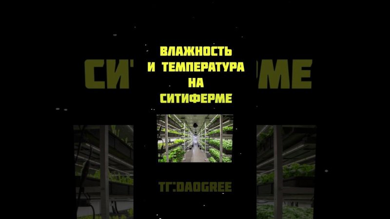 Какими должны быть влажность и температура? #daogreen #бизнес #микрозелень