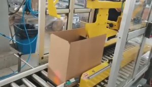 Линия гравитационной укладки 5л канистр в короба