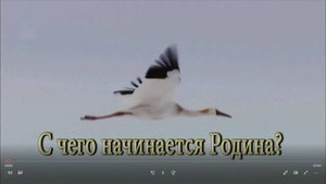 Аллея живой памяти