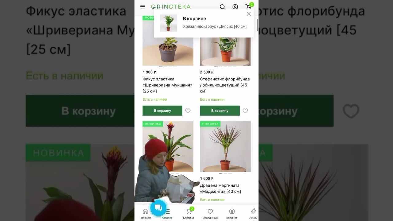 Большое зелёное пополнение!
