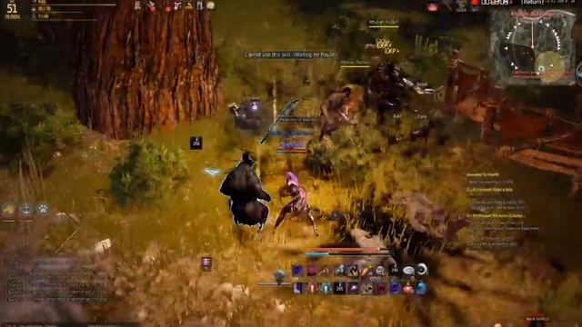bdo grind смотреть онлайн