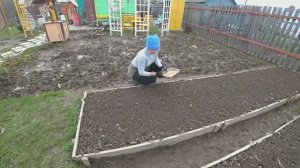 6 соток 5 мая 2021 год. Посадили лук севок, раннюю капусту и баклажаны