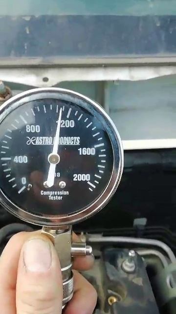 VID-20250217-WA0008