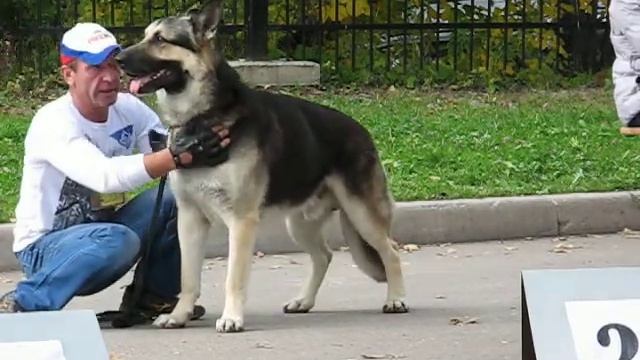 MVI_3821.AVI Улгрем смотреть онлайн