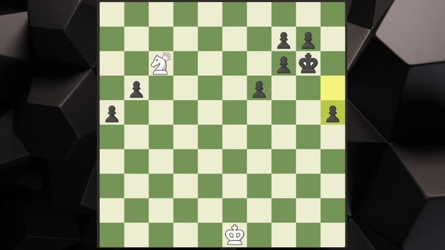 14 Pawns VS Amazon | Fairy Chess смотреть онлайн