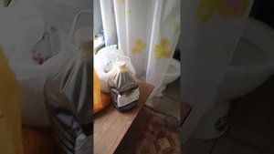 Минеральная добавка для голубей