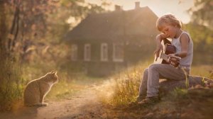 Елена Шумилова