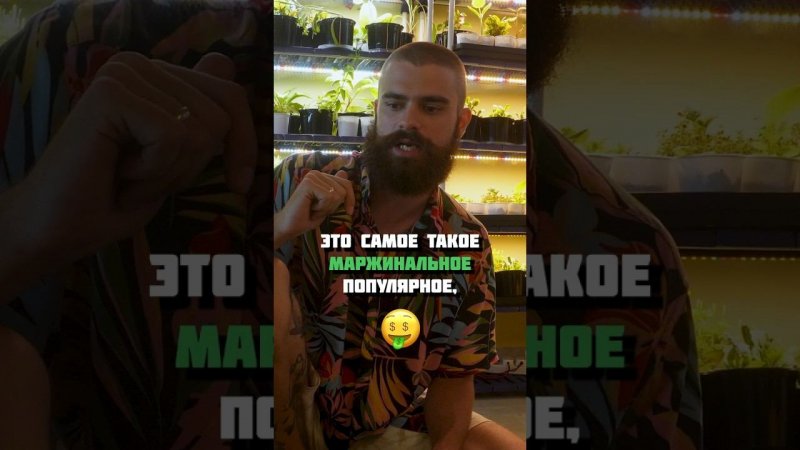 Стоит ли открывать свою ферму, если в городе они уже есть? #бизнес #микрозелень #daogreen
